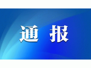 Դͨ11ʡ2024ֲʽ䰸ӾW(wng)Mr