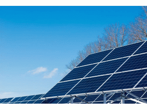14Ŀ 591.95MW!  ɽMUֹL(fng)Ŀʾ