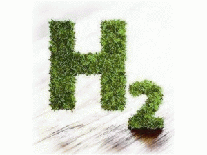 ԴƚL޴ ƚ_ِ